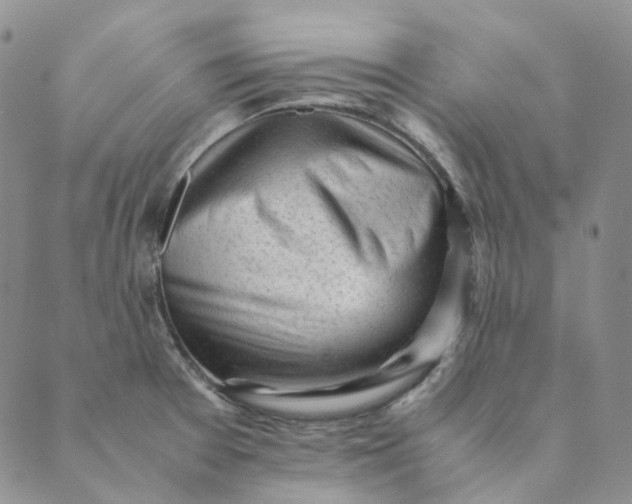 X0000089351377200707061014