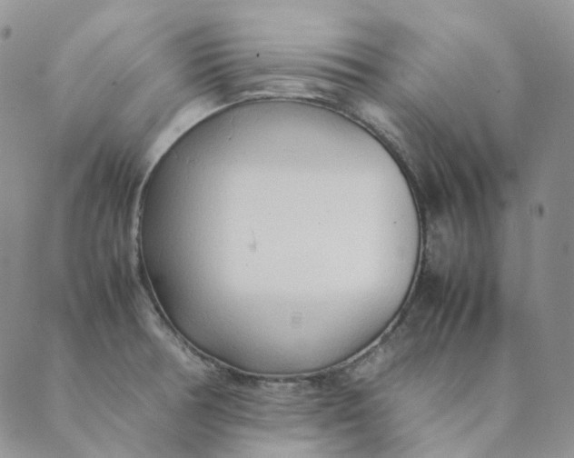 X0000089351378200707061014