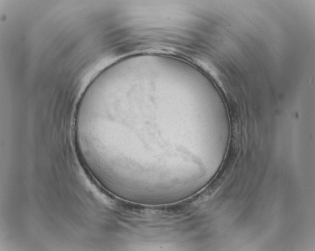 X0000089351379200707061014