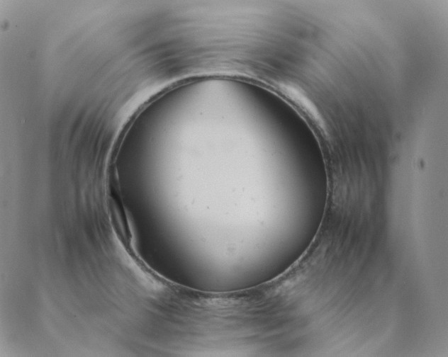 X0000089351380200707061014