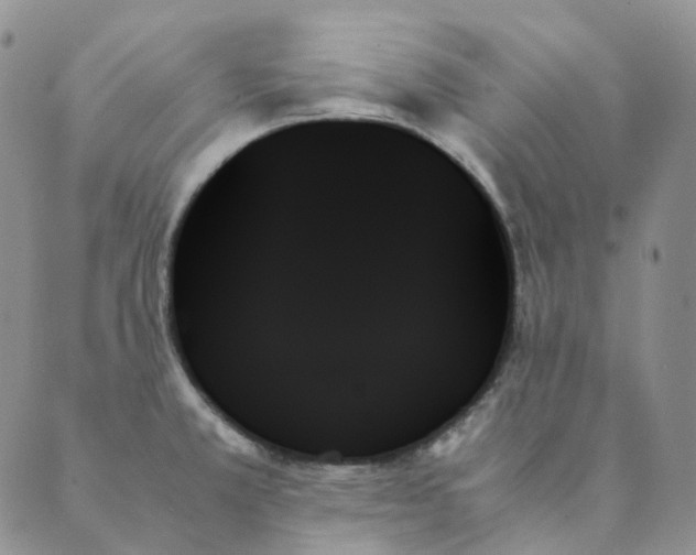 X0000089351381200707061014