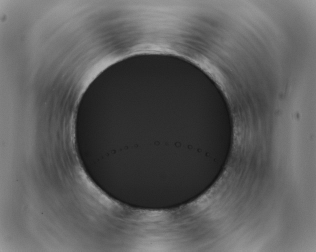 X0000089351382200707061014