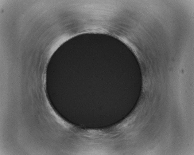 X0000089351383200707061014