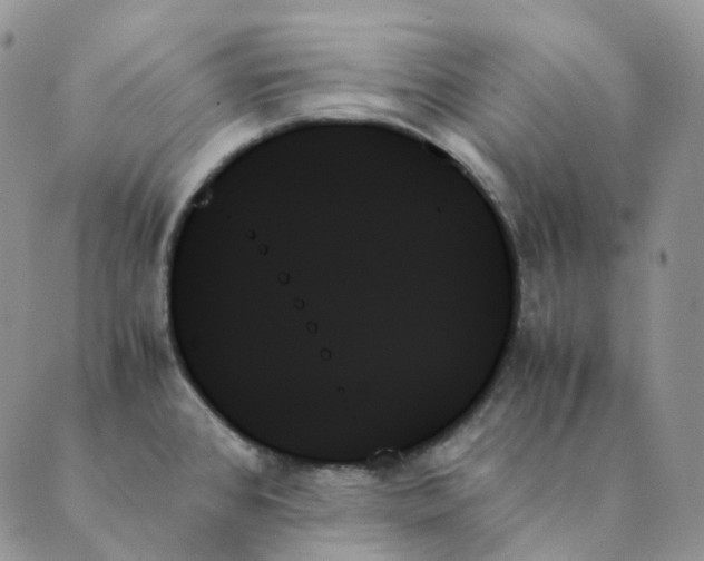 X0000089351384200707061014