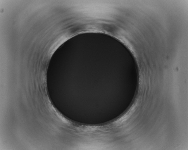 X0000089351385200707061014