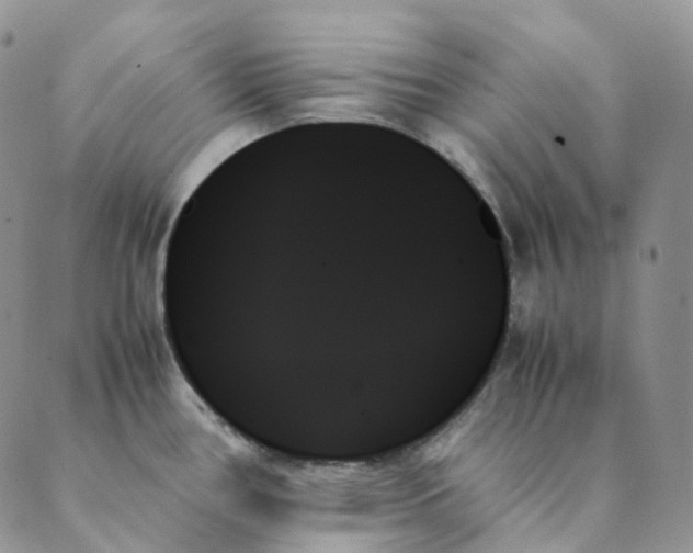 X0000089351386200707061014