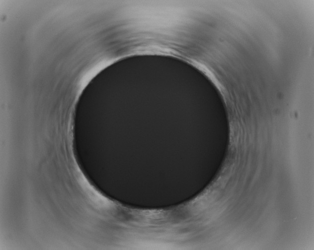 X0000089351387200707061014