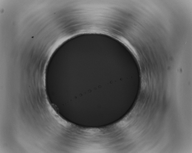X0000089351388200707061014