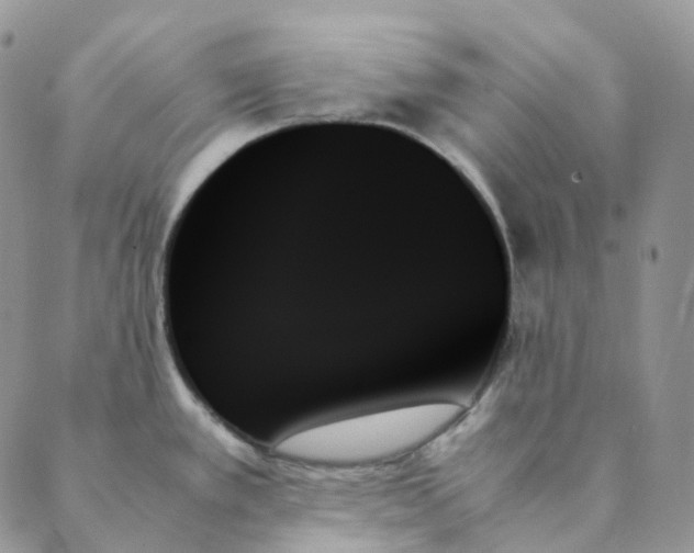 X0000089351389200707061014