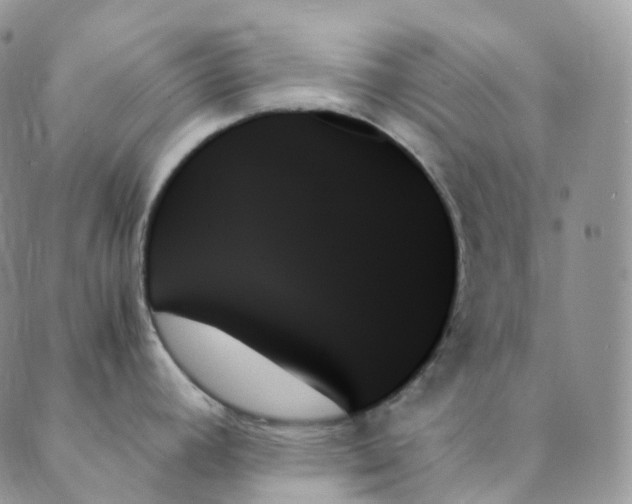 X0000089351392200707061013