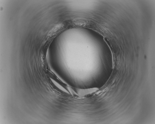 X0000089351394200707061013