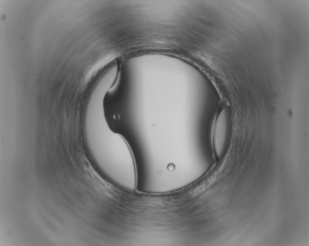 X0000089351402200707061013