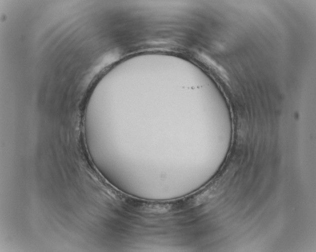 X0000089351411200707061013