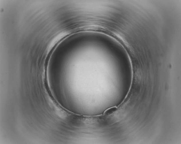 X0000089351418200707061013