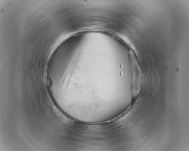 X0000089351421200707061013