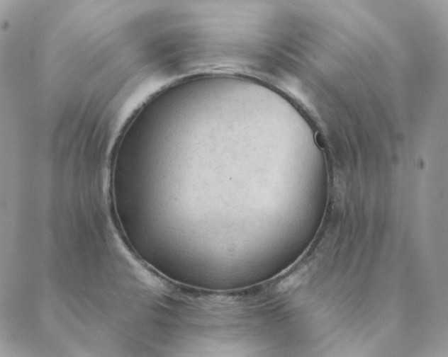 X0000089351424200707061013