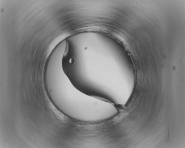 X0000089351426200707061013