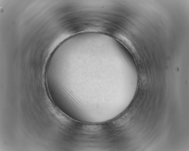 X0000089351427200707061013