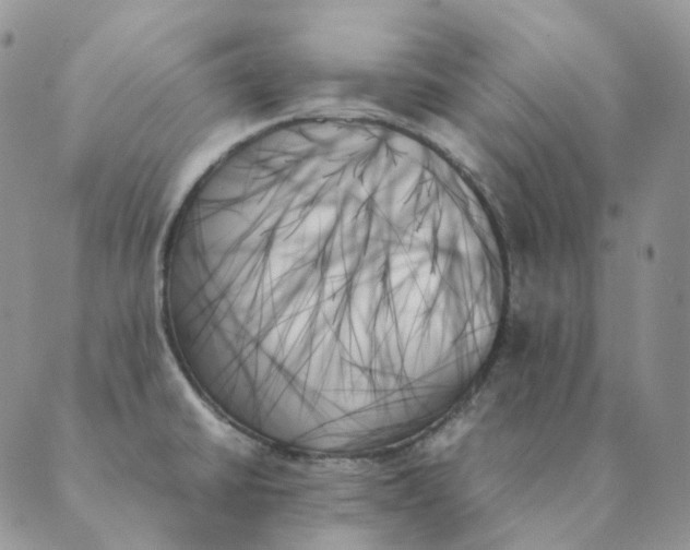 X0000089351430200707061013