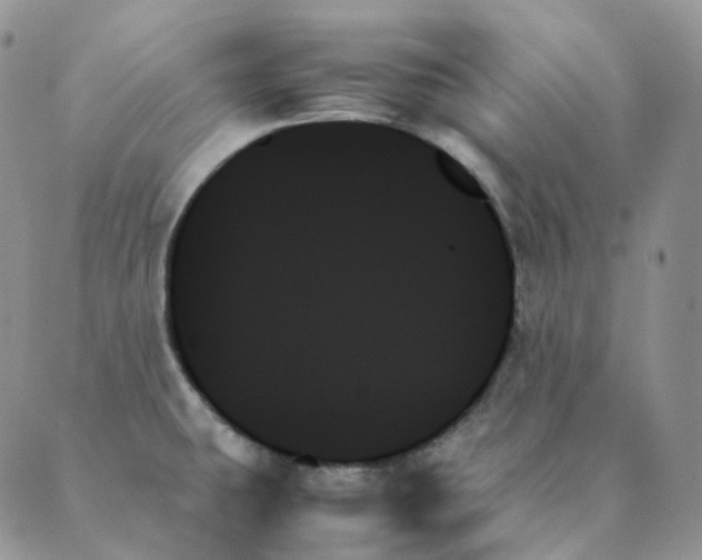 X0000089351431200707061013