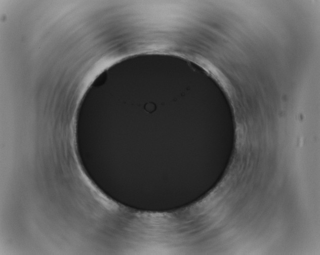 X0000089351432200707061013