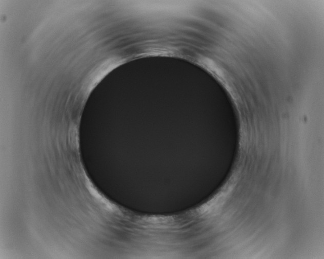 X0000089351433200707061013