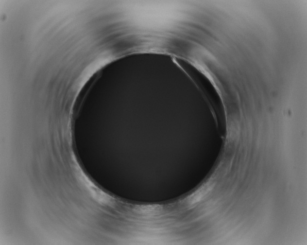 X0000089351434200707061013