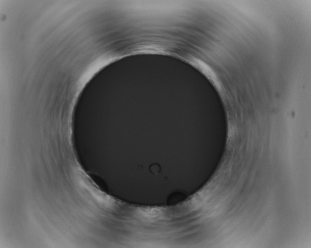 X0000089351435200707061013