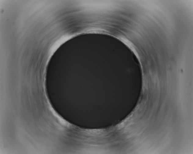 X0000089351437200707061013