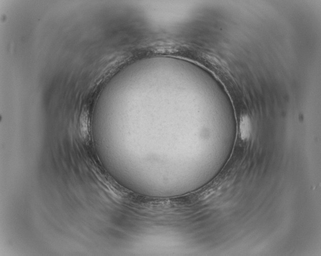 X0000089351444200707061013