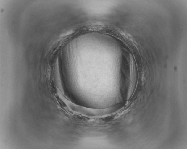 X0000089351445200707061013