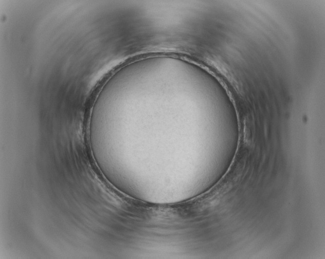 X0000089351452200707061012