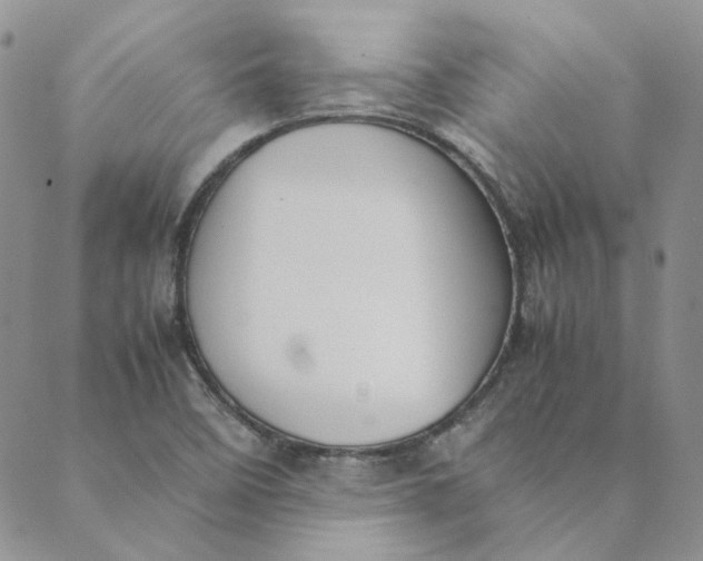 X0000089351458200707061012