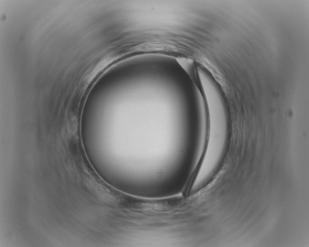 X0000089351465200707061012