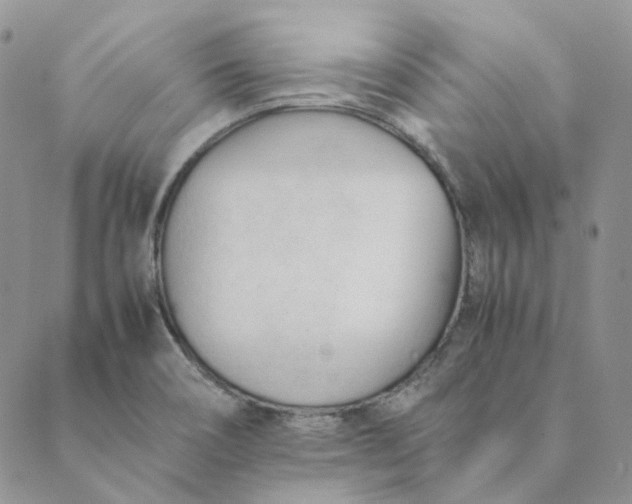 X0000089351466200707061012