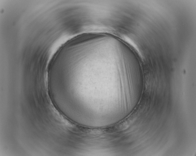 X0000089351472200707061012