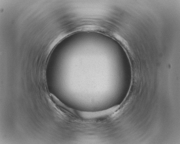 X0000089351473200707061012