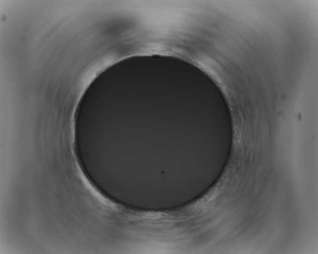 X0000089351479200707061012