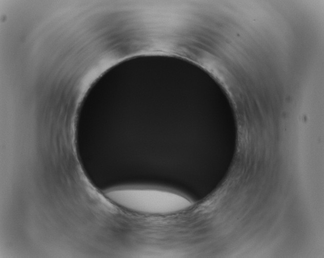X0000089351480200707061012