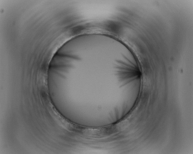 X0000089351481200707061012