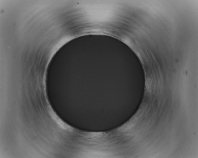 X0000089351482200707061012