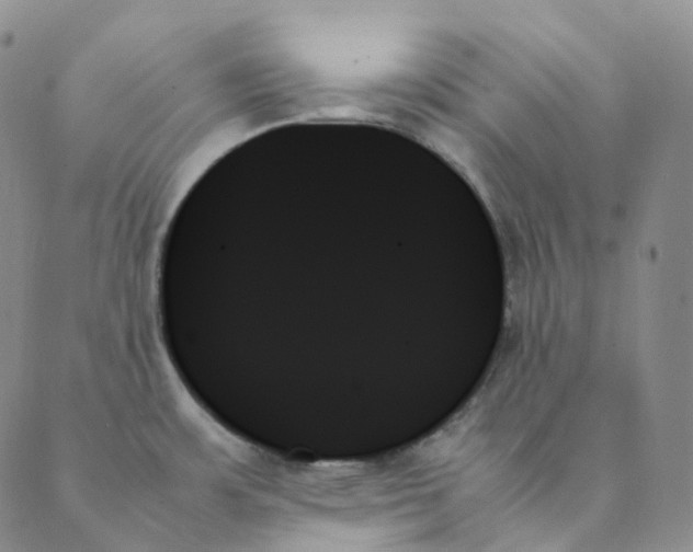 X0000089351483200707061012