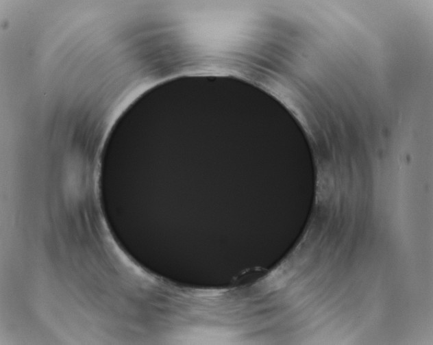 X0000089351484200707061012