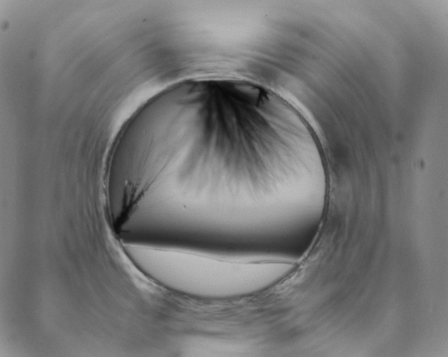 X0000089351485200707061012
