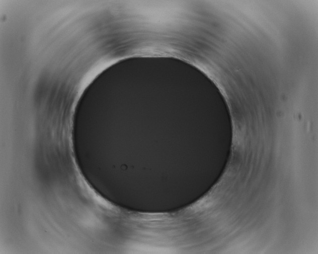 X0000089351486200707061012