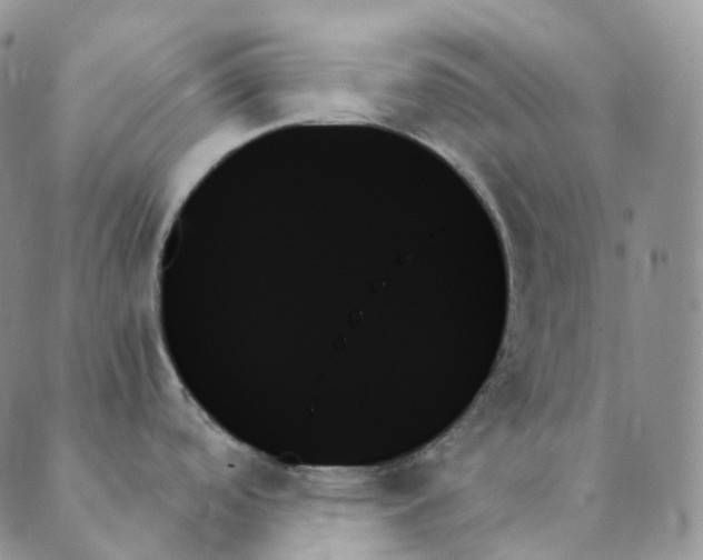 X0000089351488200707061012