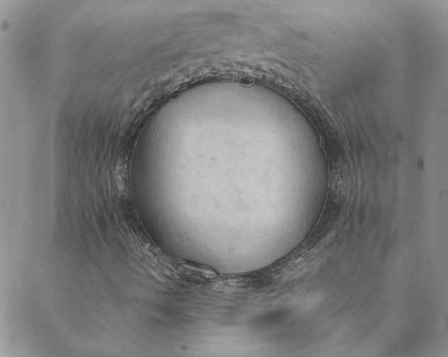 X0000089351490200707061011