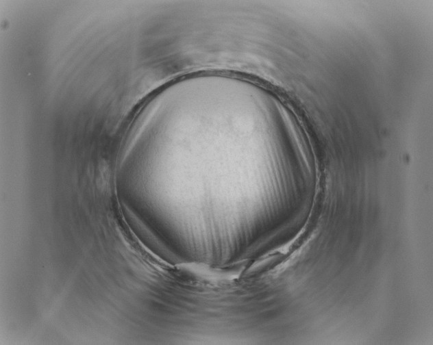 X0000089351505200707061011