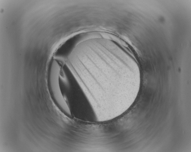X0000089351508200707061011