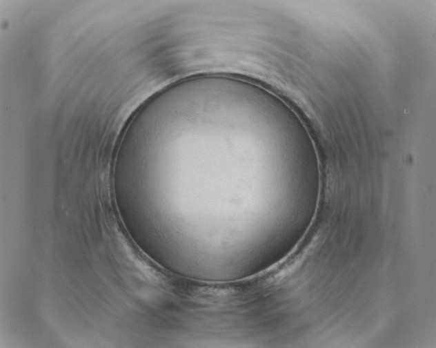 X0000089351513200707061012